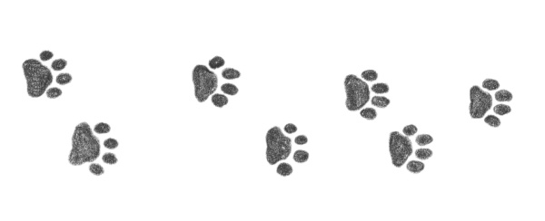 Иллюстрация к книге — Щенок Оскар, или Секрет счастливого Рождества [i_017.jpg]