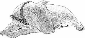 Иллюстрация к книге — Последний подарок [i_016.jpg]