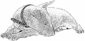 Иллюстрация к книге — Последний подарок [i_021.jpg]