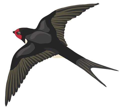 Иллюстрация к книге — Ты будешь счастливой, я - помогу! [i_027.jpg]