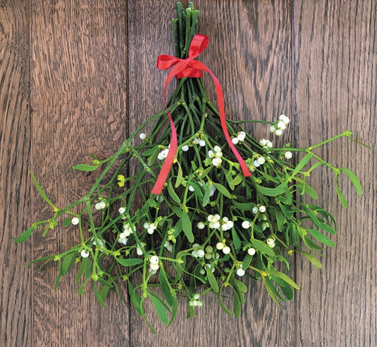 Иллюстрация к книге — Ты будешь счастливой, я - помогу! [i_060.jpg]