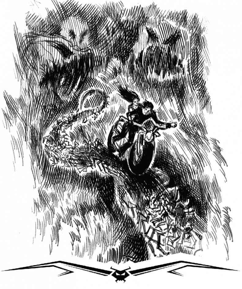 Иллюстрация к книге — Некромант [i_034.jpg]