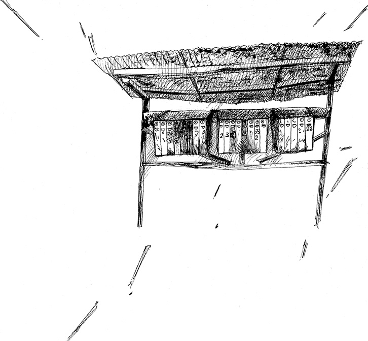 Иллюстрация к книге — Сказки cтарого Вильнюса [i_007.jpg]