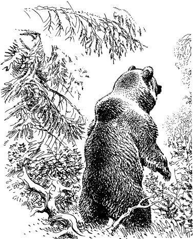 Иллюстрация к книге — Смешные и печальные истории из жизни любителей ружейной охоты и ужения рыбы [i_012.jpg]