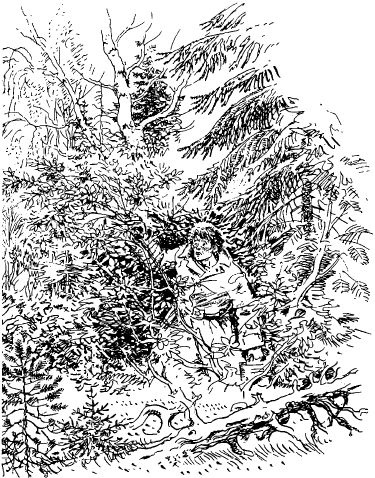 Иллюстрация к книге — Смешные и печальные истории из жизни любителей ружейной охоты и ужения рыбы [i_013.jpg]