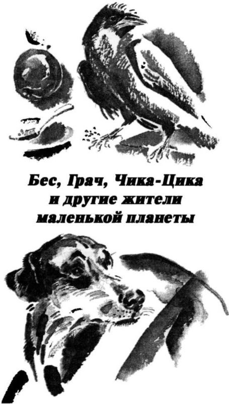 Иллюстрация к книге — Смешные и печальные истории из жизни любителей ружейной охоты и ужения рыбы [i_019.jpg]