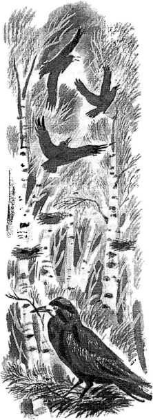 Иллюстрация к книге — Смешные и печальные истории из жизни любителей ружейной охоты и ужения рыбы [i_027.jpg]