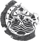 Иллюстрация к книге — Военный канон Китая [_14.jpg]