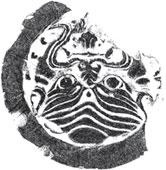 Иллюстрация к книге — Военный канон Китая [_32.jpg]