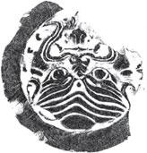 Иллюстрация к книге — Военный канон Китая [_47.jpg]