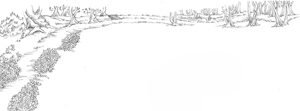 Иллюстрация к книге — Котёнок Белла, или Любопытный носик [i_016.jpg]