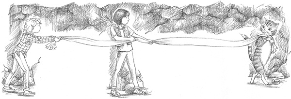 Иллюстрация к книге — Котёнок Белла, или Любопытный носик [i_018.jpg]