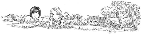 Иллюстрация к книге — Котёнок Белла, или Любопытный носик [i_039.jpg]