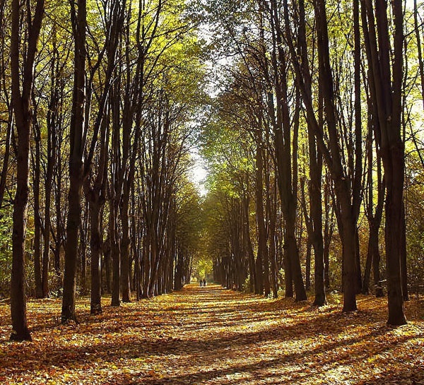 Иллюстрация к книге — Возвращение блудного сына [i_010.jpg]