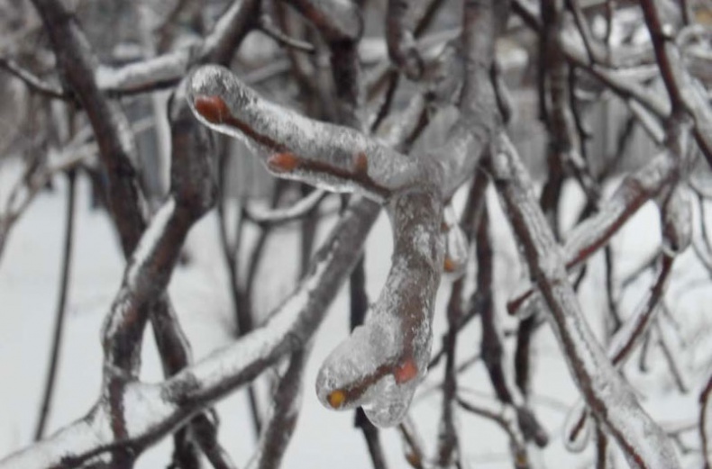 Иллюстрация к книге — Возвращение блудного сына [i_014.jpg]