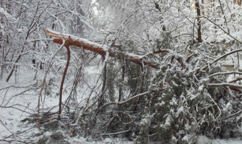 Иллюстрация к книге — Возвращение блудного сына [i_015.jpg]