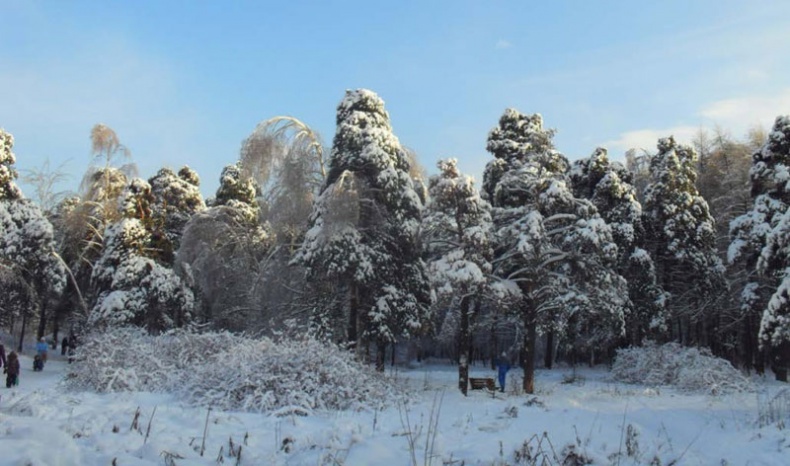 Иллюстрация к книге — Возвращение блудного сына [i_019.jpg]