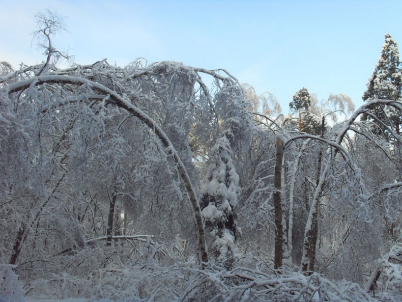 Иллюстрация к книге — Возвращение блудного сына [i_021.jpg]
