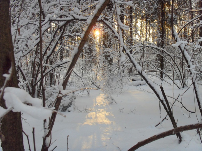 Иллюстрация к книге — Возвращение блудного сына [i_023.jpg]