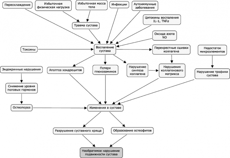 Иллюстрация к книге — Как победить свой возраст? 8 уникальных способов, которые помогут достичь долголетия [_211.jpg]