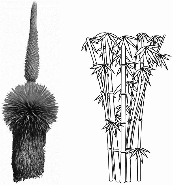 Иллюстрация к книге — 120 лет жизни – только начало. Как победить старение? [i_002.jpg]