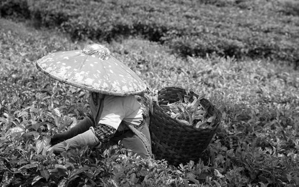 Иллюстрация к книге — Тайны Поднебесной. Все, что нужно знать о Китае [_408.jpg]