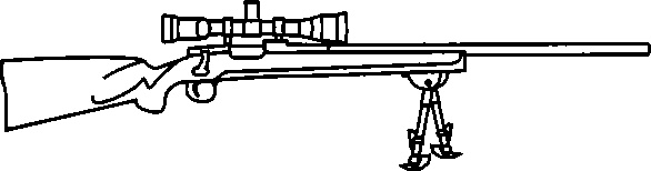 Иллюстрация к книге — Энциклопедия спецназа стран мира [image255.jpg]