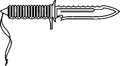Иллюстрация к книге — Энциклопедия спецназа стран мира [image270.jpg]