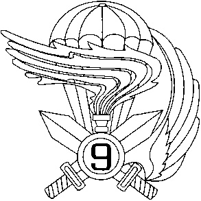 Иллюстрация к книге — Энциклопедия спецназа стран мира [image28.jpg]