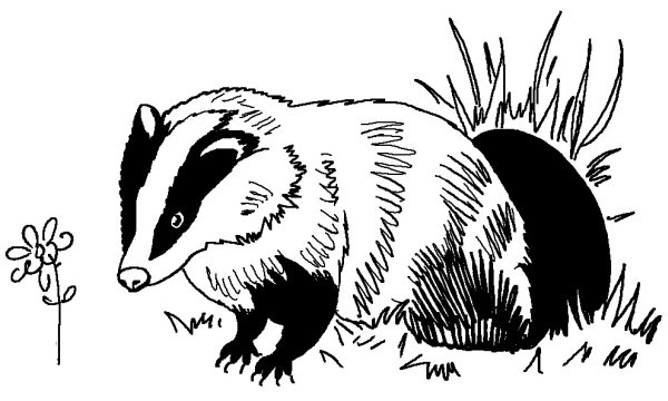 Иллюстрация к книге — Моя сестра Джоди [i_012.jpg]