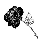 Иллюстрация к книге — Моя сестра Джоди [i_038.jpg]