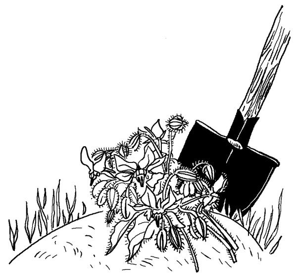 Иллюстрация к книге — Моя сестра Джоди [i_039.jpg]