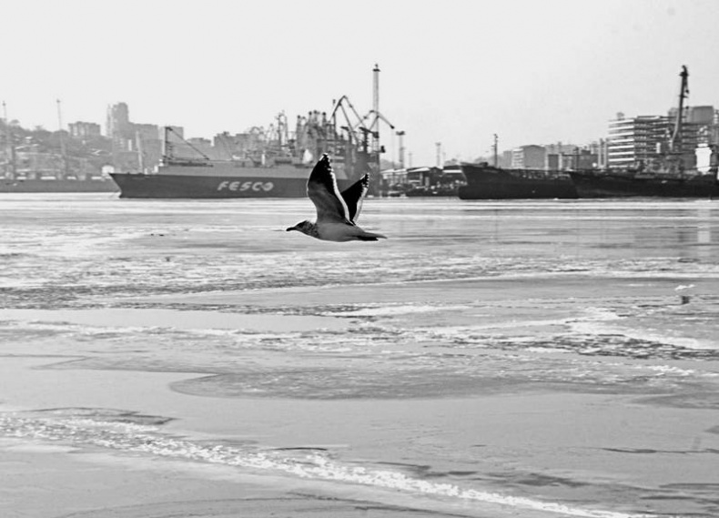 Иллюстрация к книге — Кристалл в прозрачной оправе [i_011.jpg]