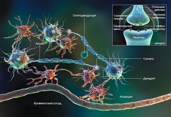 Иллюстрация к книге — Кластеры [i_002.jpg]