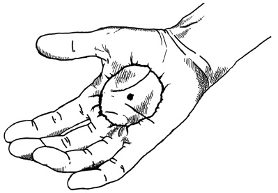 Иллюстрация к книге — Магия на грани дозволенного [i_037.jpg]