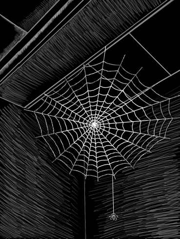 Иллюстрация к книге — Магия на грани дозволенного [i_047.jpg]