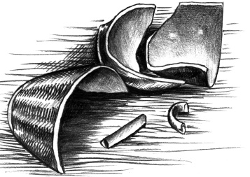 Иллюстрация к книге — Магия на грани дозволенного [i_076.jpg]