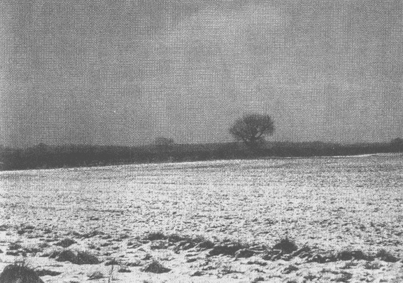 Иллюстрация к книге — Ричард III и битва при Босворте [i_017.jpg]