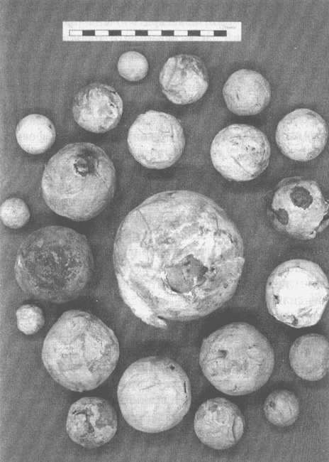 Иллюстрация к книге — Ричард III и битва при Босворте [i_018.jpg]