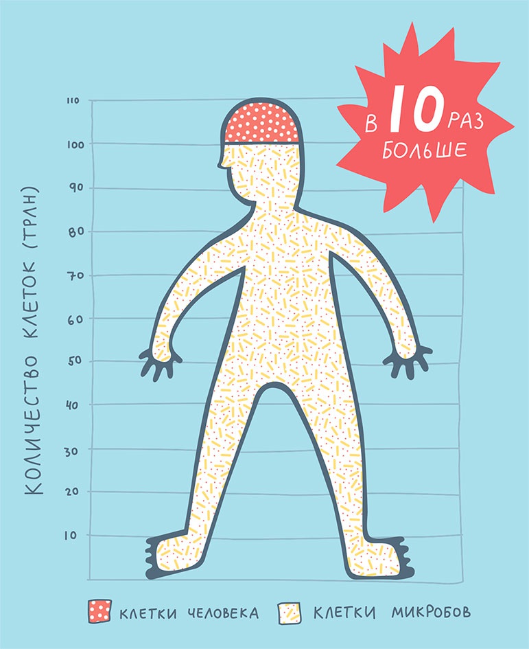 Иллюстрация к книге — Смотри, что у тебя внутри. Как микробы, живущие в нашем теле, определяют наше здоровье и нашу личность [i_001.jpg]