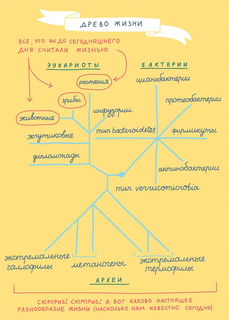 Иллюстрация к книге — Смотри, что у тебя внутри. Как микробы, живущие в нашем теле, определяют наше здоровье и нашу личность [i_002.jpg]