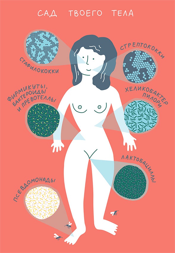 Иллюстрация к книге — Смотри, что у тебя внутри. Как микробы, живущие в нашем теле, определяют наше здоровье и нашу личность [i_004.jpg]