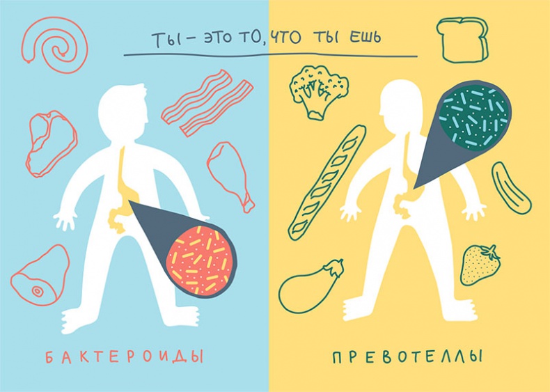 Иллюстрация к книге — Смотри, что у тебя внутри. Как микробы, живущие в нашем теле, определяют наше здоровье и нашу личность [i_008.jpg]