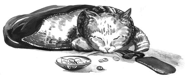 Иллюстрация к книге — Боб – необычный кот [i_009.jpg]