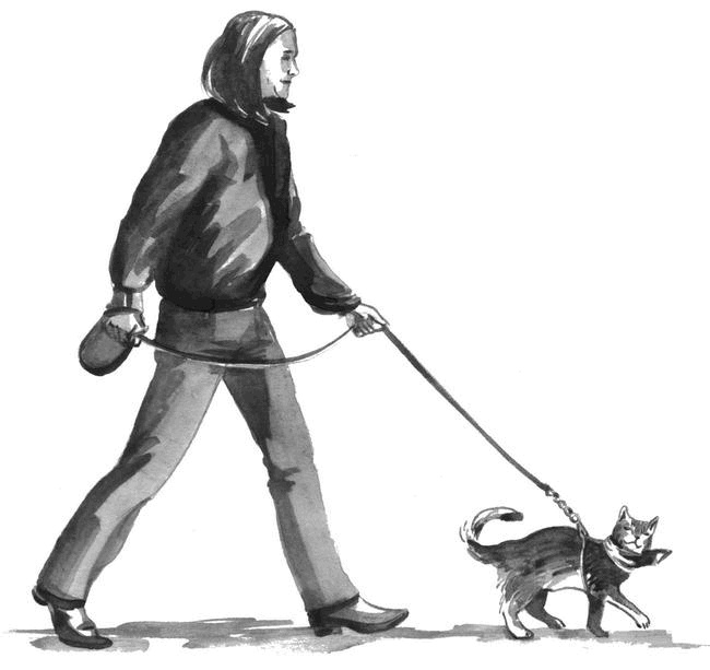 Иллюстрация к книге — Боб – необычный кот [i_013.jpg]