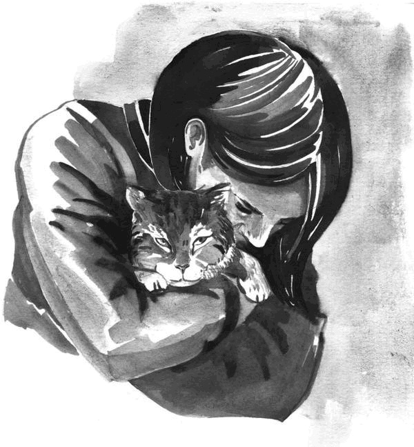 Иллюстрация к книге — Боб – необычный кот [i_029.jpg]