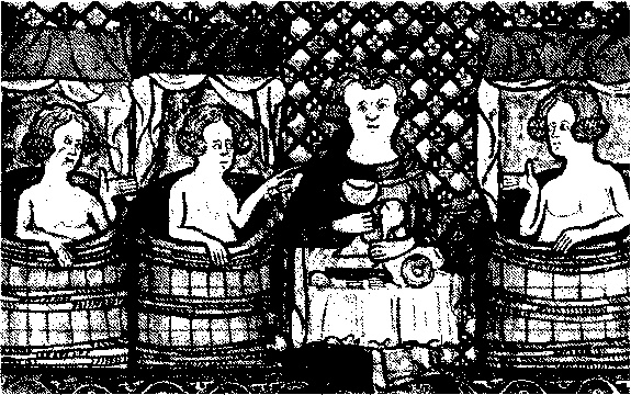 Иллюстрация к книге — Английский дом. Интимная история [image42.jpg]