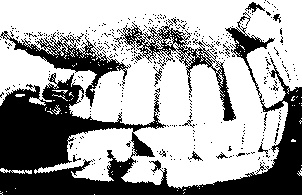 Иллюстрация к книге — Английский дом. Интимная история [image51.jpg]