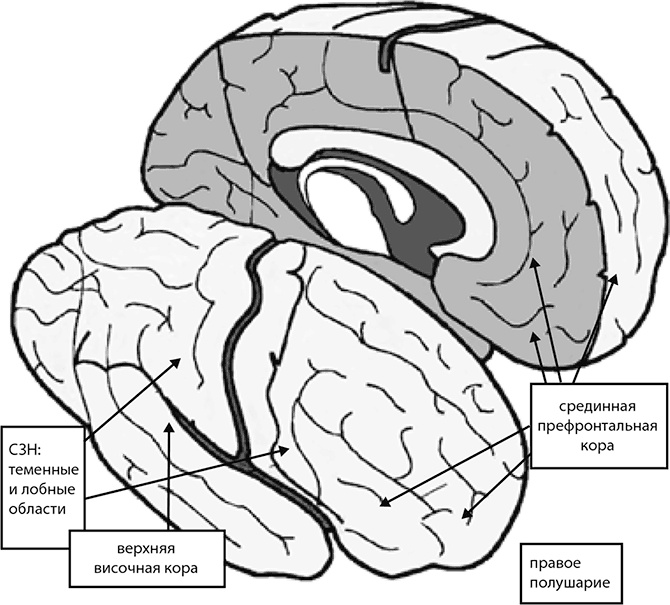 Иллюстрация к книге — Внимательный мозг. Научный взгляд на медитацию [i_011.jpg]