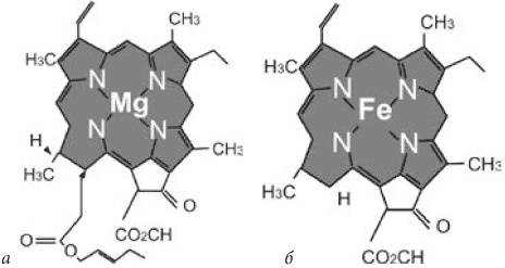 Иллюстрация к книге — 7 минут в день, чтобы желание сбылось [i_003.jpg]